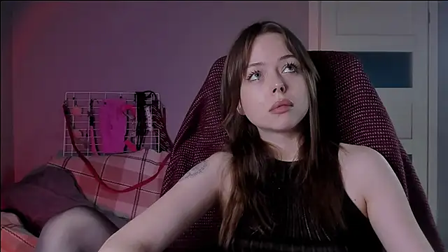 hype meal home online show from November 27, 2025, 5:37 pm