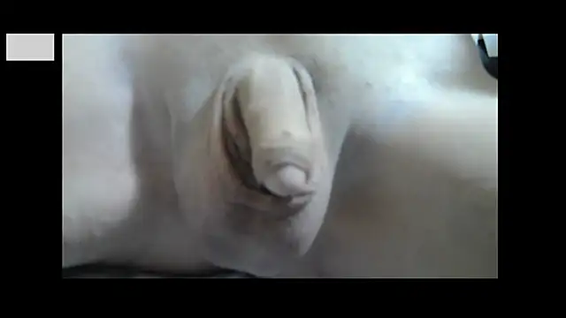 Snapshot of dick-penisu102 chatting on March 13, 2025, 1:29 pm dick-penisu102 online show from March 13, 2025, 1:29 pm