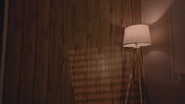 MariMaddison online show from November 11, 2025, 8:09 pm