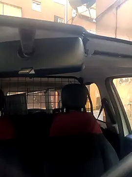 Porco81cazzo online show from November 29, 2025, 8:50 am