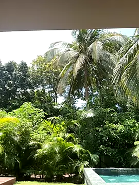 Olivia Collins1 online show from September 16, 2025, 4:52 pm