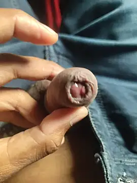 iaparna online show from November 17, 2025, 7:58 am