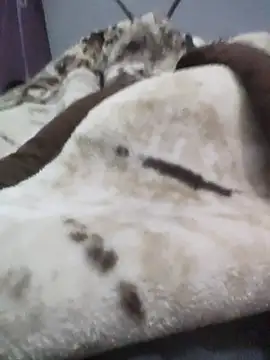 iaparna online show from December 16, 2025, 4:23 pm