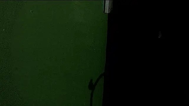 Deleon1995 online show from January 2, 2025, 4:52 am