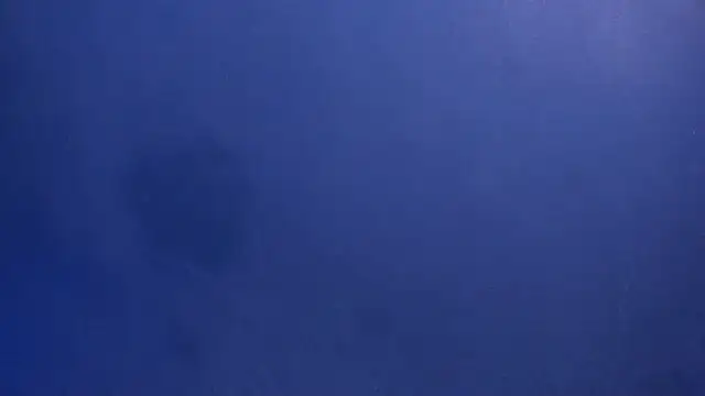 Snapshot of celestelewis chatting on March 19, 2025, 7:49 pm celestelewis online show from March 19, 2025, 7:49 pm