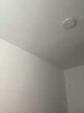 Arilw online show from November 21, 2025, 2:05 pm