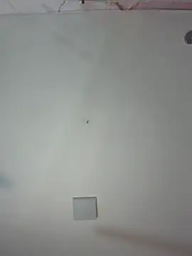 kiim taaylor online show from February 25, 2026, 11:31 am