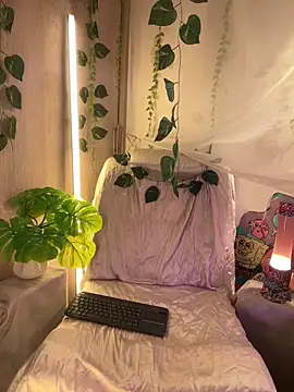 Kitty arts online show from March 2, 2025, 5:36 pm