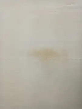 Rina777o online show from January 27, 2025, 6:31 pm