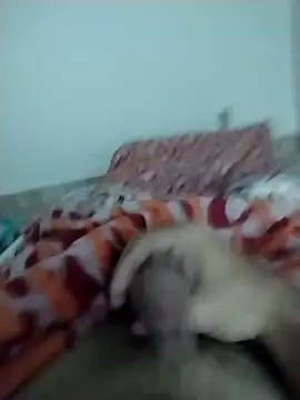 lm279 online show from February 13, 2025, 5:33 pm