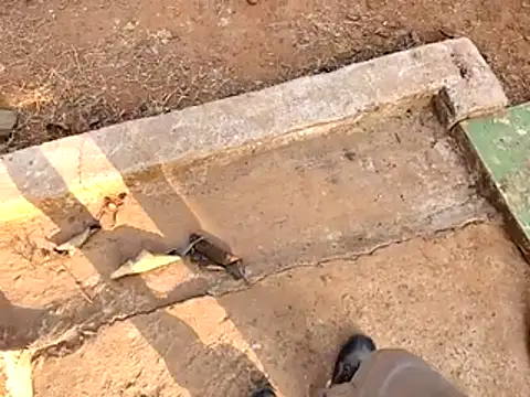 Ishan003 online show from February 15, 2026, 10:36 am