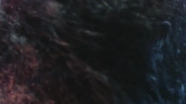 Sofiacowperx online show from March 31, 2026, 12:38 pm