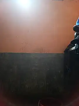 AssamSilchar93 online show from January 2, 2025, 6:50 am