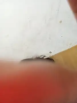 ambarlennoix online show from January 12, 2025, 10:34 am