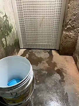 SnapIDRakesh4 online show from March 20, 2025, 4:09 pm