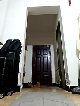 DDYY12341 online show from November 18, 2025, 11:58 am