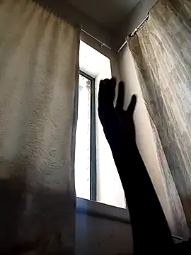 Cocowett online show from October 10, 2025, 12:26 pm