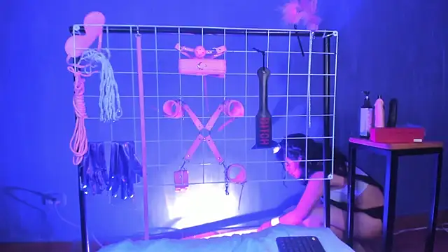 vanelope11 online show from February 12, 2025, 7:35 pm