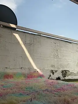 suzanelee online show from March 10, 2025, 2:05 pm