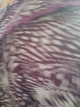 samitasharma online show from November 14, 2025, 4:00 am