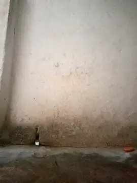 Hotty-queen online show from October 11, 2025, 2:11 am