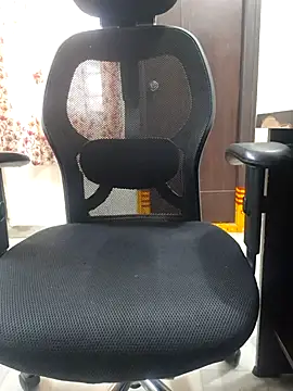 divyansh hyderabadi online show from February 17, 2026, 10:12 am