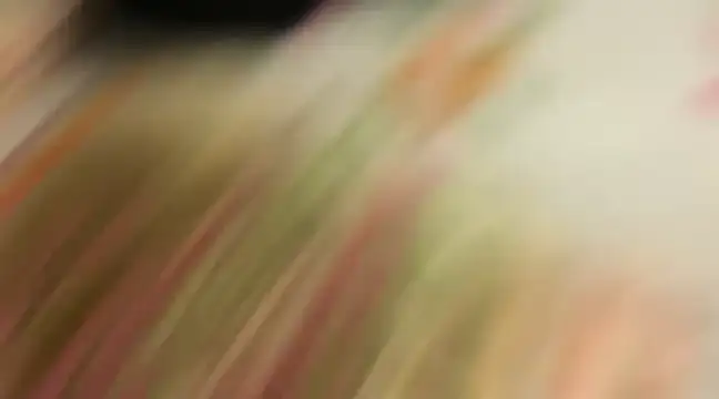 wild x predator online show from January 10, 2025, 4:09 pm