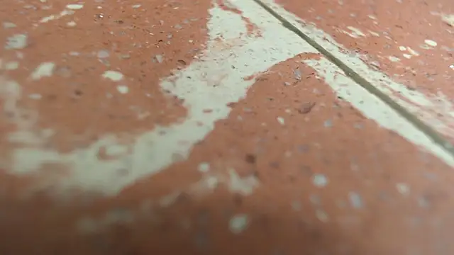 isabella jazz online show from September 20, 2025, 3:24 pm