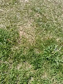 Gururonny07 online show from March 6, 2025, 7:57 am