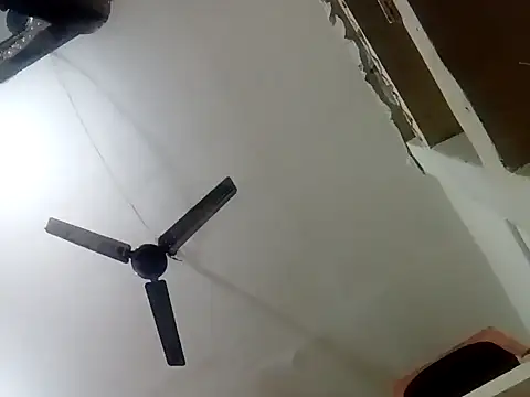 annaya sweet online show from February 10, 2025, 8:31 am