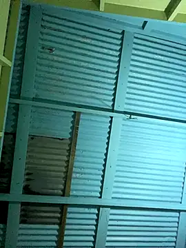 islandvybee55 online show from December 16, 2025, 5:01 am