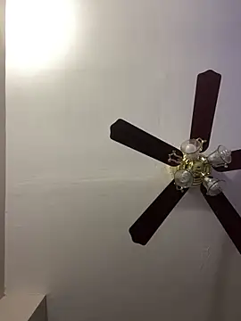 islandvybee55 online show from April 15, 2026, 12:01 pm