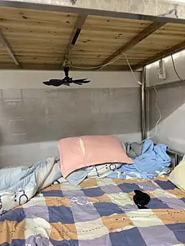 xinan520 online show from September 12, 2025, 10:15 am