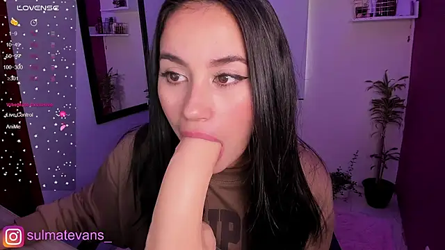  sulmatevans  online show from February 21, 2025, 1:55 pm