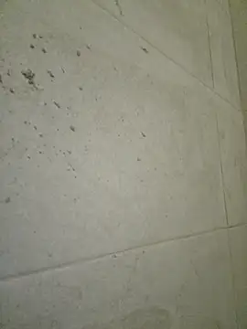 seloloko20 online show from September 19, 2025, 6:59 am