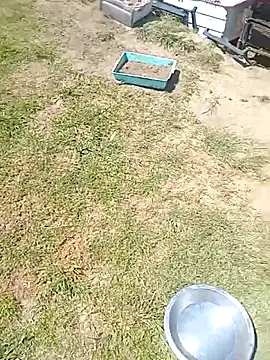 hornyhippies0080 online show from March 4, 2026, 9:59 am