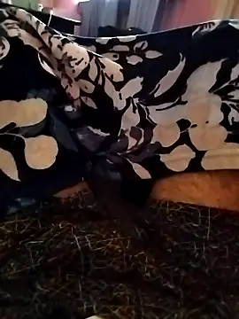 indian   fucker online show from September 23, 2025, 10:07 am