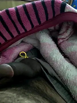 yaradayar online show from January 17, 2026, 4:33 pm