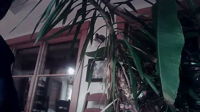 KittingGrappler online show from November 15, 2025, 10:48 pm