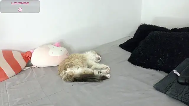 Snapshot of SophieBaker__ chatting on May 2, 2026, 2:16 am SophieBaker online show from May 2, 2026, 2:16 am