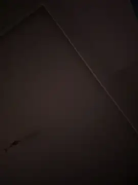 Snapshot of eddy355 chatting on October 26, 2025, 9:31 pm eddy355 online show from October 26, 2025, 9:31 pm