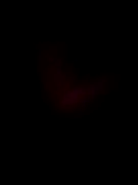 Boss199971 online show from November 7, 2025, 11:32 am