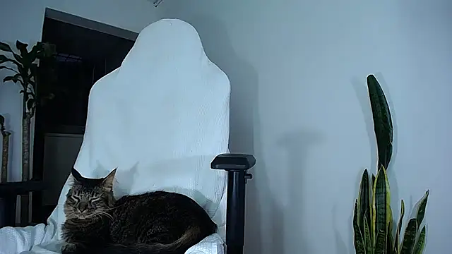 diamond black00 online show from February 24, 2025, 10:58 pm