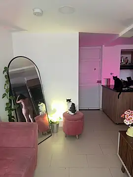 DakotaShelby online show from January 13, 2025, 8:37 pm