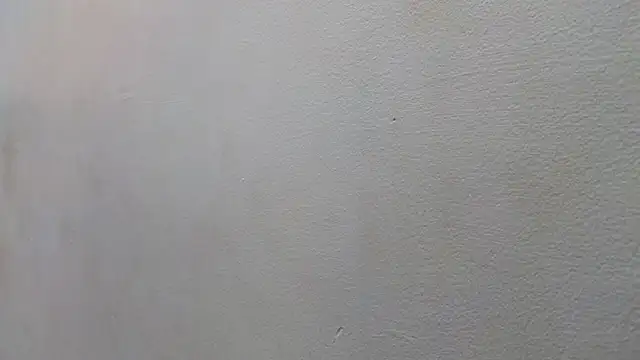 JESSYCORTES online show from January 15, 2025, 8:48 pm