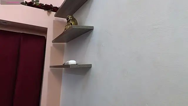 JESSYCORTES online show from February 11, 2025, 2:13 pm