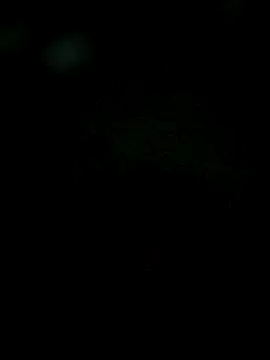 Karthik924 online show from February 1, 2025, 6:19 pm