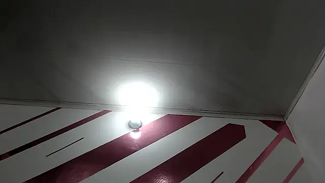 Kitten Hot  online show from January 10, 2026, 1:40 am