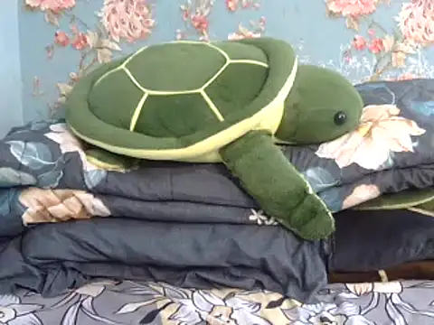 Tiny lusty online show from March 11, 2025, 6:41 pm