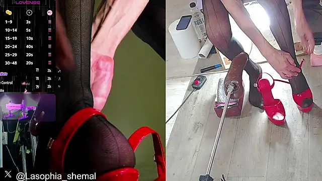 Lasofia online show from January 31, 2025, 10:31 am